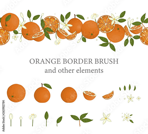Vector  border brush with oranges and orange design elements. Repeat border pattern with citrus fruit, leaves, flowers, twigs. Fresh food illustration.