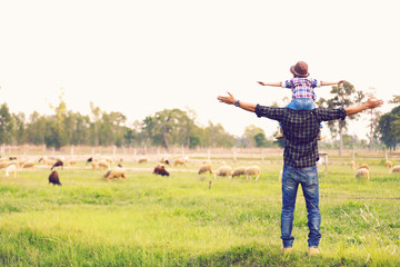 The son rides his father neck and looks out at the family sheep happily..