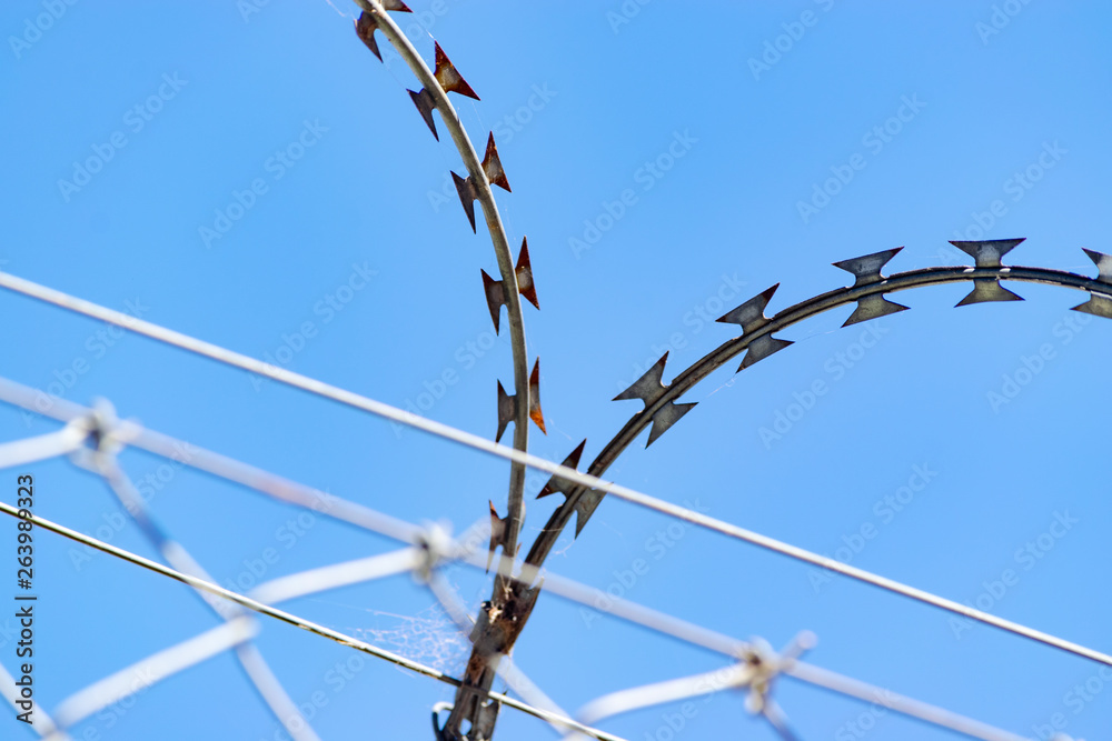 Barbed wire of a fence against blue sky Barbed wire of a fence against blue sky