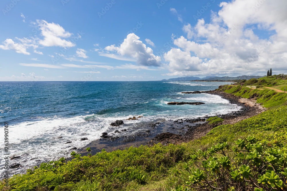 USA, Hawaii, Kauai, Kauai Multiuse Path, Pacific coast USA, Hawaii, Kauai, Kauai Multiuse Path, Pacific coast