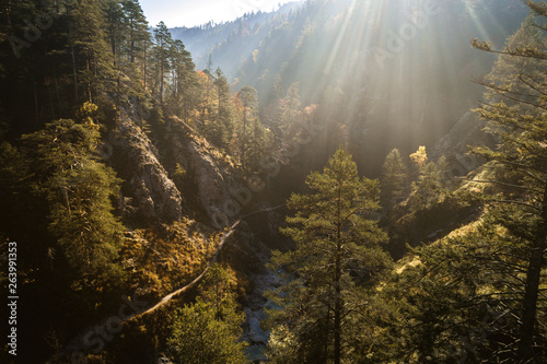 Austria, Lower Austria, Oetschergraeben in the morning sun