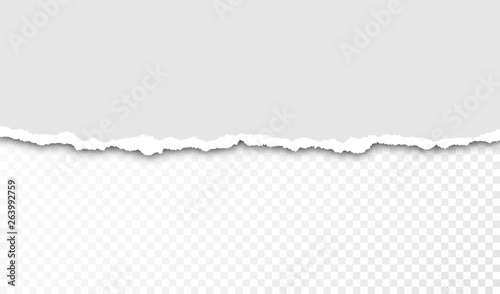 Torn paper with ripped edges and transparent space for you design. Paper texture with ripped edges and shadow. Horizontal banner template. Vector