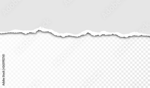 Torn paper with ripped edges and transparent space for you design. Paper texture with ripped edges and shadow. Horizontal banner template. Vector