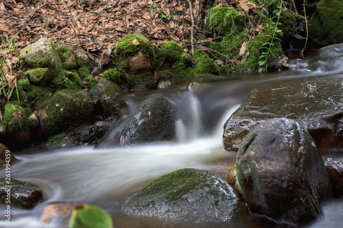 Multiple exposure of the cold stream of a ravine in the mountains near the colonial town of Villa de Leyva  in the central region of the Colombian Andes.