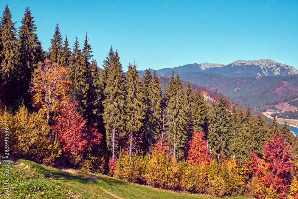 Beautiful autumn landscape in The Carpathian Mountains