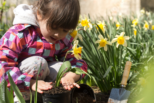 little girl planting flowers in the garden © puhimec