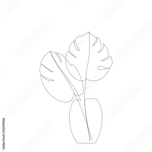 Monstera on vase line art