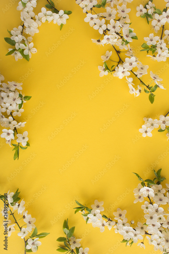 Spring or summer background.Flowering tree branches on the yellow background.Top view.Copy space.