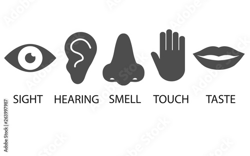 Human senses icon. Vector illustration, flat design.
