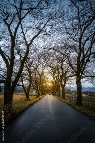 road in autumn