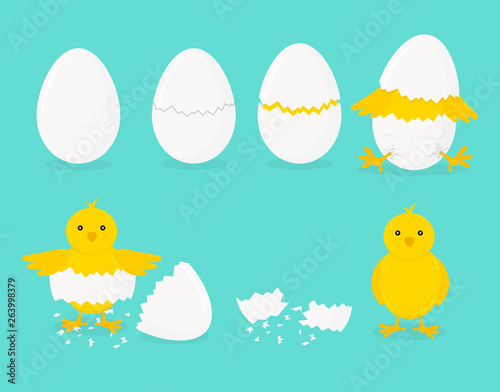 Cartoon Chicken Hatching Phases Set on a Blue. Vector