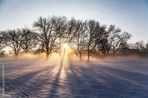 Germany, Landshut, foggy landscape in winter at sunrise