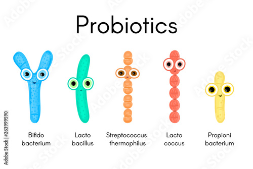 Probiotics. Lactic acid bacterium. Bifidobacterium, lactobacillus, streptococcus thermophilus, lactococcus, propionibacterium. Microbiome. Microbiota. Cute characters. Gastrointestinal health. Vector photo