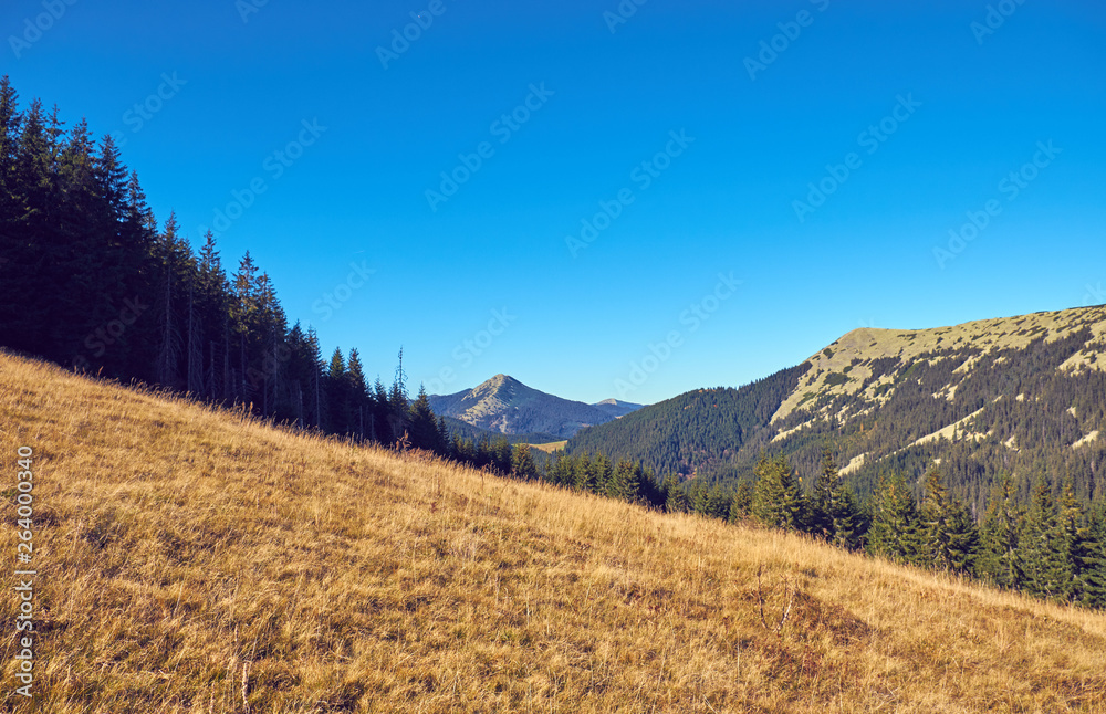 Obraz premium Beautiful autumn landscape in The Carpathian Mountains