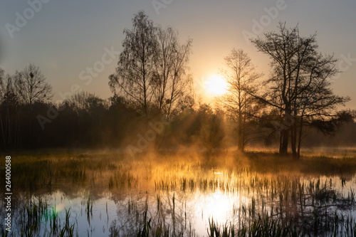 Haze on wetlands at golden hours during sunrise