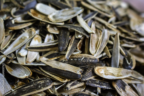 Close up of a pile of sunflower seed shells.