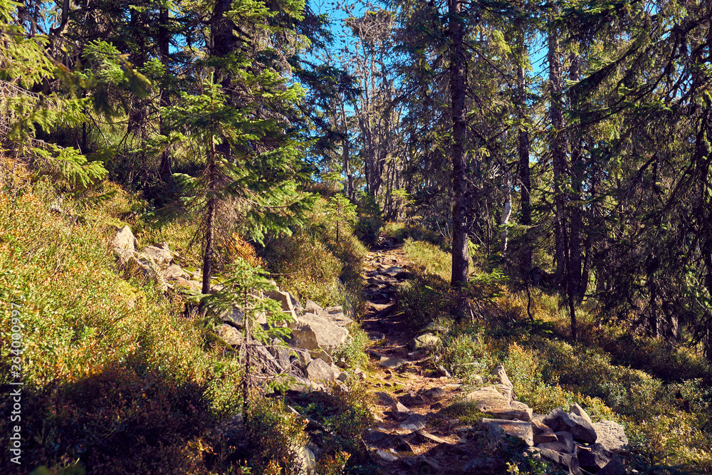 Beautiful autumn landscape in The Carpathian Mountains