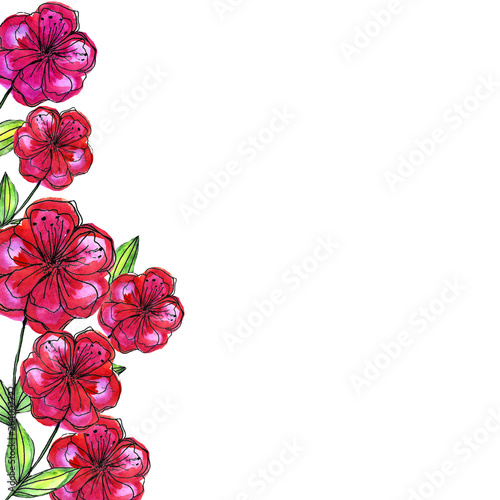 Watercolor flowers.Hand drawn illustration