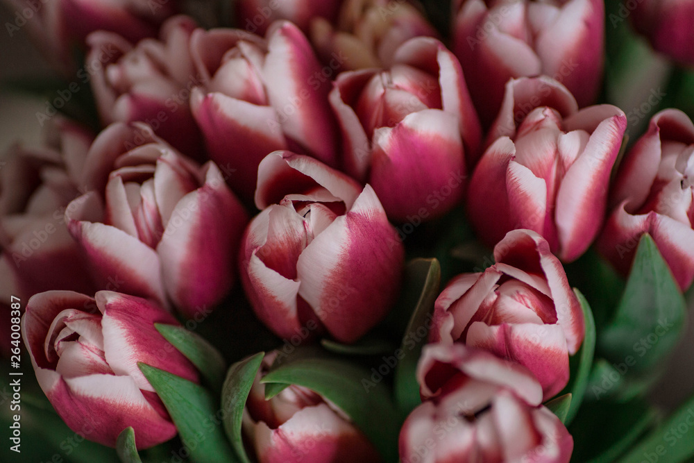 A bouquet of spring beautiful flowers. Fresh Pink tulips. A bouquet of spring beautiful flowers. Fresh Pink tulips.