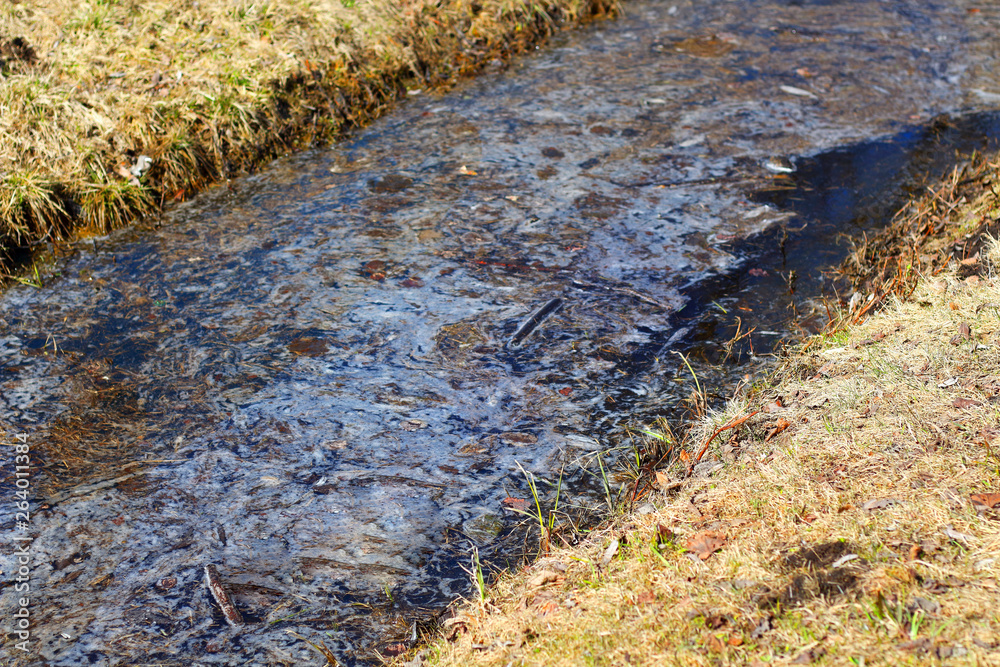 dark blue river flows wildly in nature in a forest park with yellow-green autumn grass burned out by the sun on the shore dark blue river flows wildly in nature in a forest park with yellow-green autumn grass burned out by the sun on the shore
