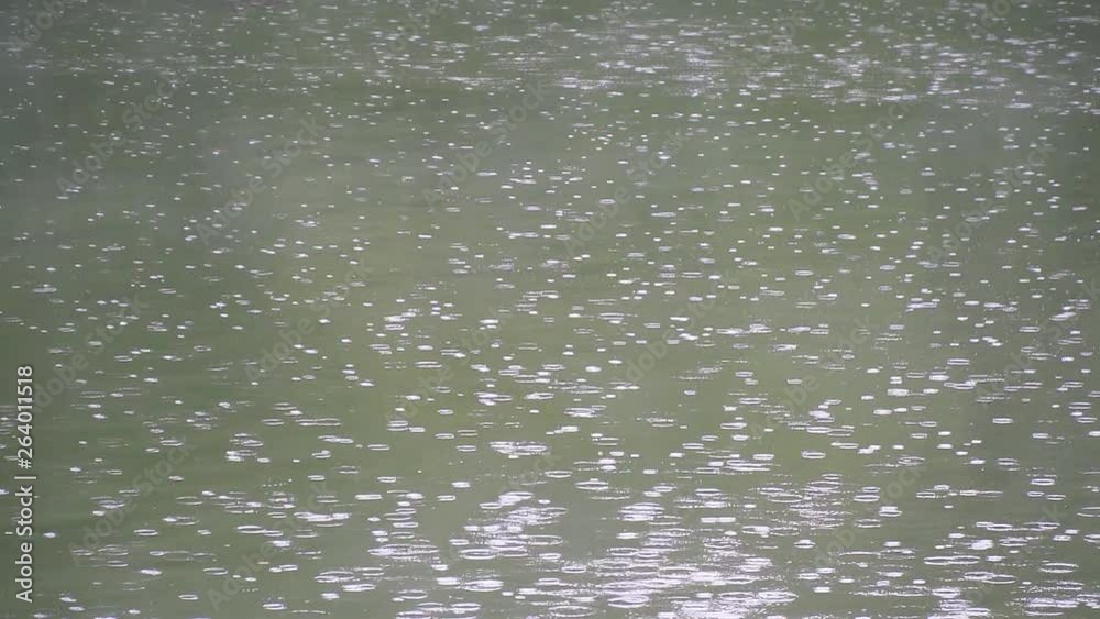 Raindrops on the river in the summer Raindrops on the river in the summer