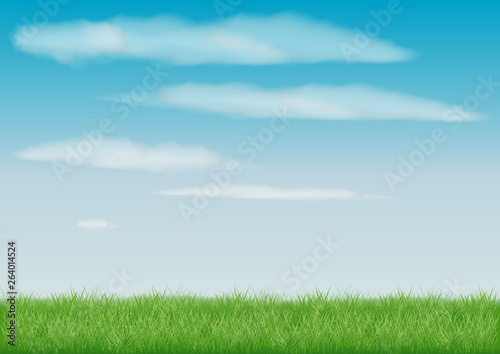 beautiful view green summer meadow stretches to the horizon. a field of grass. blue light sky with white clouds. realistic vector drawing