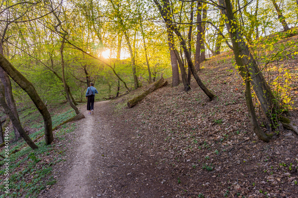 Kunratice forest - beautiful green park with path and stream during sunset in Prague (secret gem, popular travel destination in Czech Republic, Europe)