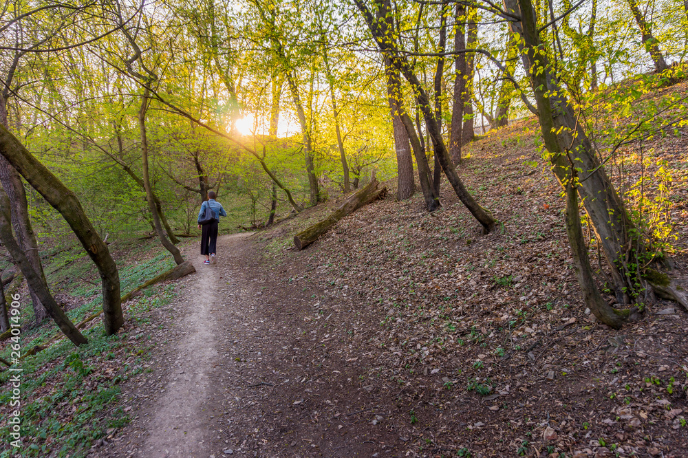 Kunratice forest - beautiful green park with path and stream during sunset in Prague (secret gem, popular travel destination in Czech Republic, Europe) Kunratice forest - beautiful green park with path and stream during sunset in Prague (secret gem, popular travel destination in Czech Republic, Europe)