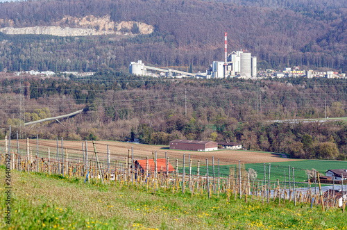 View of the cement plant in Wuerenlingen from village of Villigen, Switzerland. photo