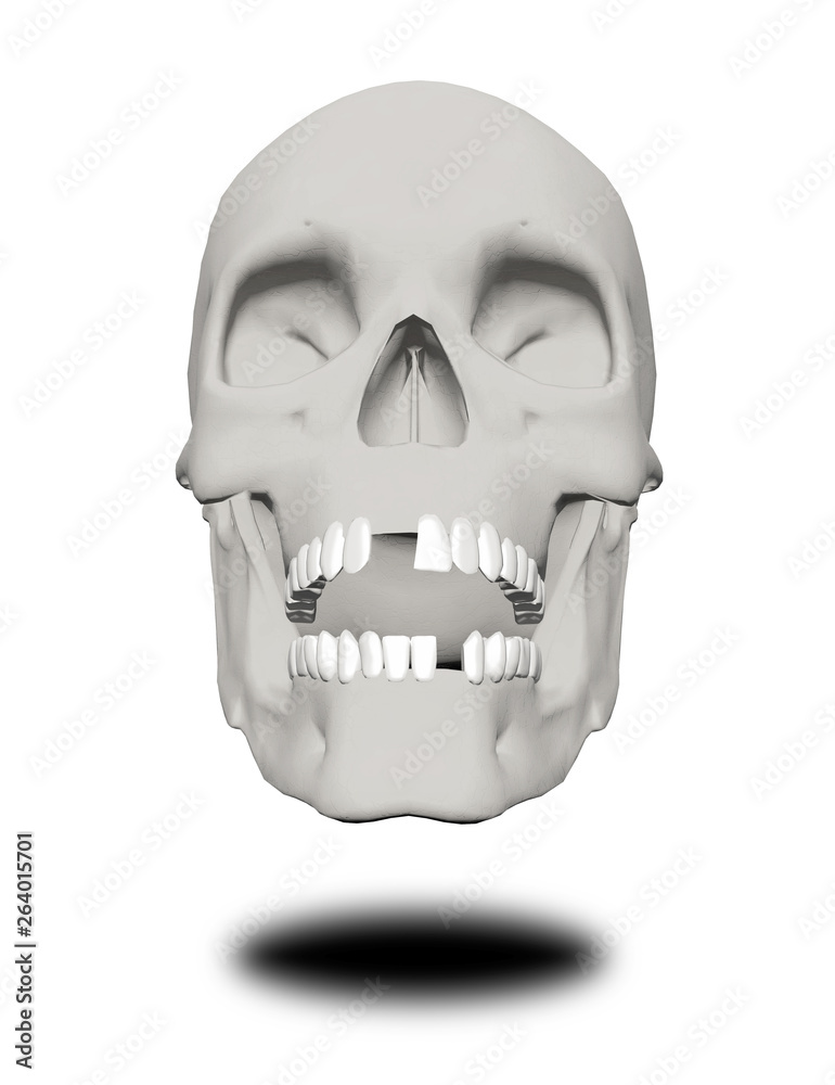 Obraz premium Human skull