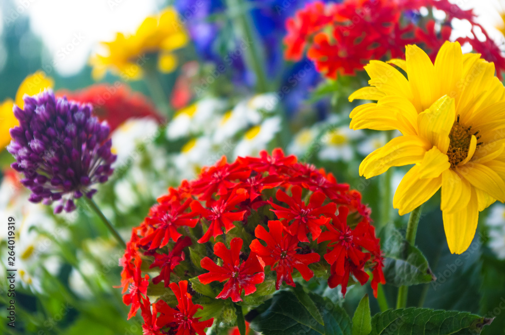 a bouquet of bright spring flowers of various types a bouquet of bright spring flowers of various types