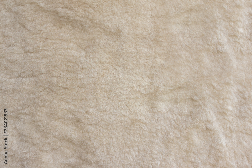 White fur, natural wool texture White fur, natural wool texture