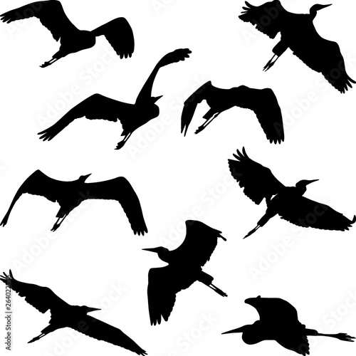 flying heron silhouettes