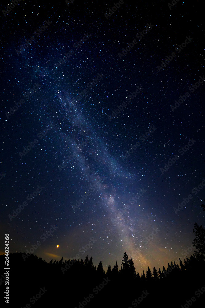 colorful milky way with mars and tree silhouette in the austrian alps in winter colorful milky way with mars and tree silhouette in the austrian alps in winter