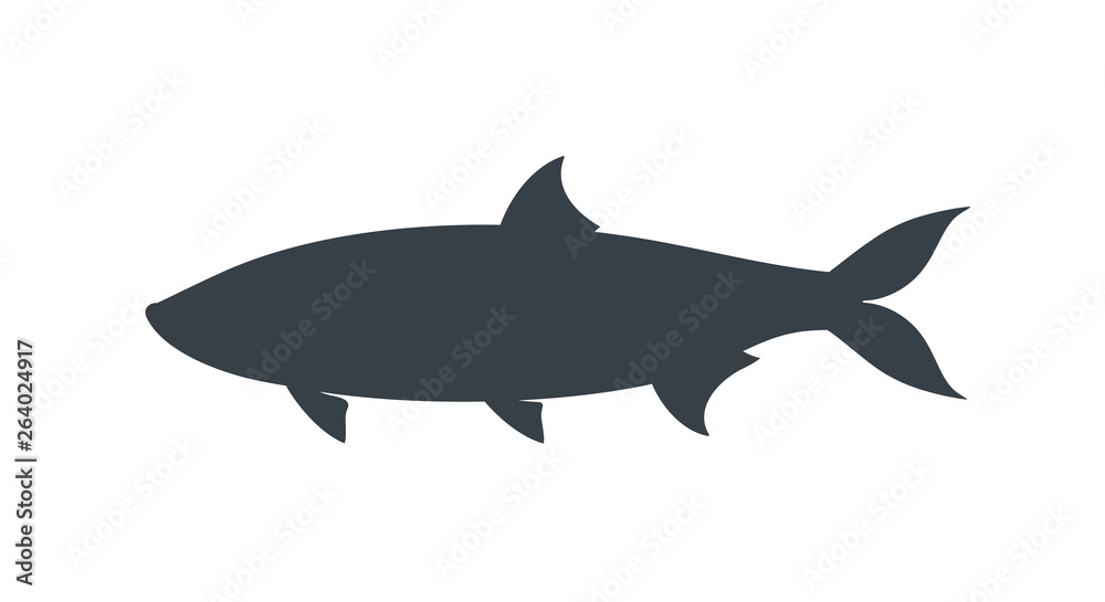 Tarpon silhouette. Isolated tarpon on white background Tarpon silhouette. Isolated tarpon on white background