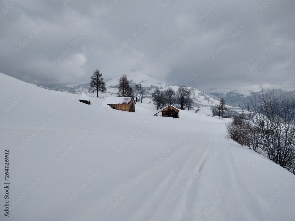 Bonito Paisaje de invierno Camino de invierno en la montañas y árboles cubiertos de nieve en Rumania Trasilvania Bonito Paisaje de invierno Camino de invierno en la montañas y árboles cubiertos de nieve en Rumania Trasilvania