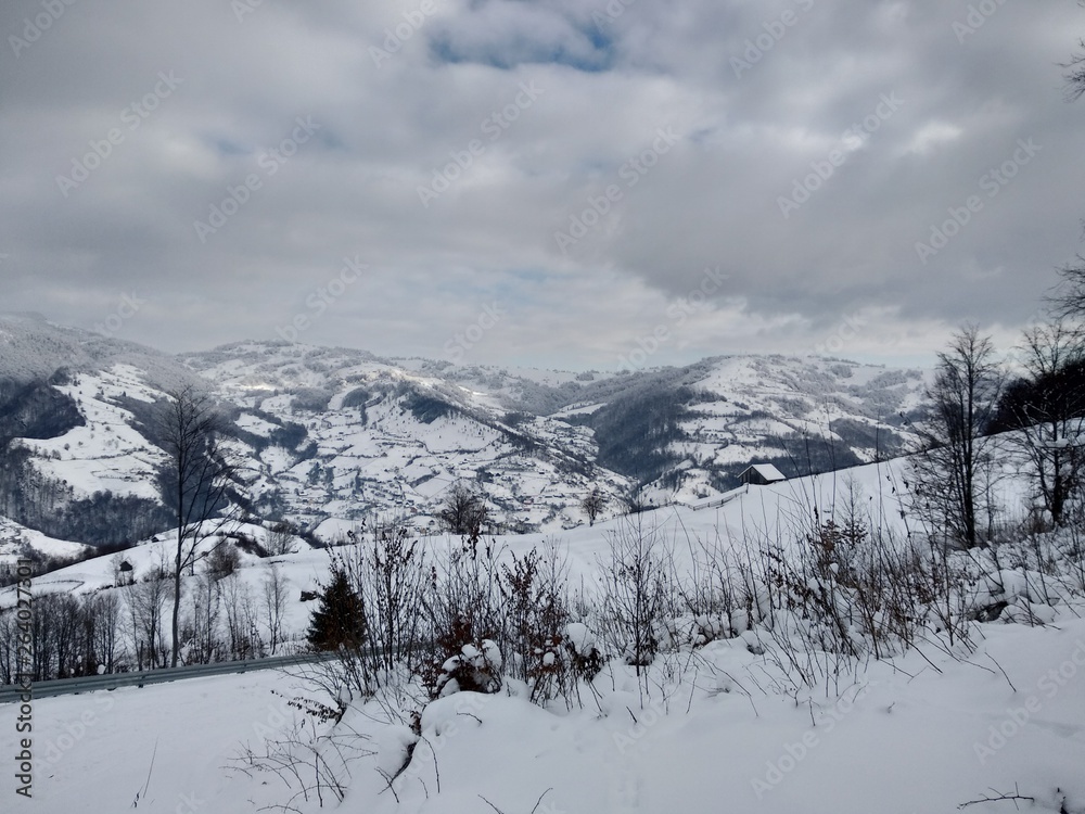 Fototapeta premium Bonito Paisaje de invierno en la montañas de los carpatos con árboles cubiertos de nieve en Rumania, Trasilvania, pueblo de Parva.