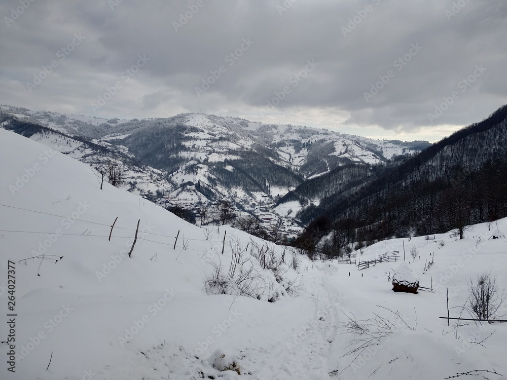 Rumanía Transilvania  en temporada de invierno con casas montes y árboles en el pueblo  de Parva. Paisajes de invierno