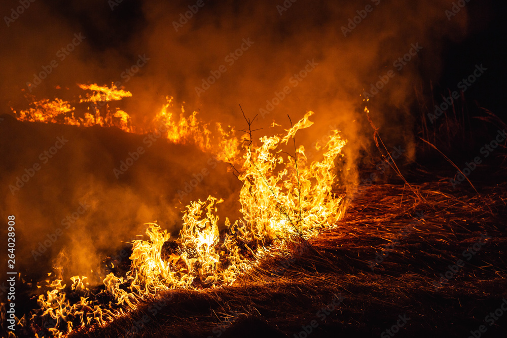 burning grass in a field at night in spring burning grass in a field at night in spring