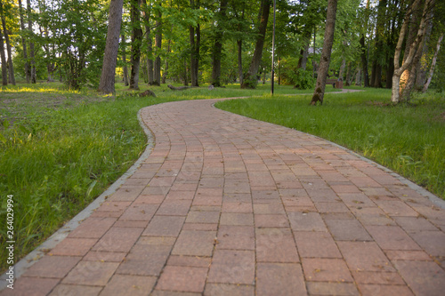 paved curved path through a green park