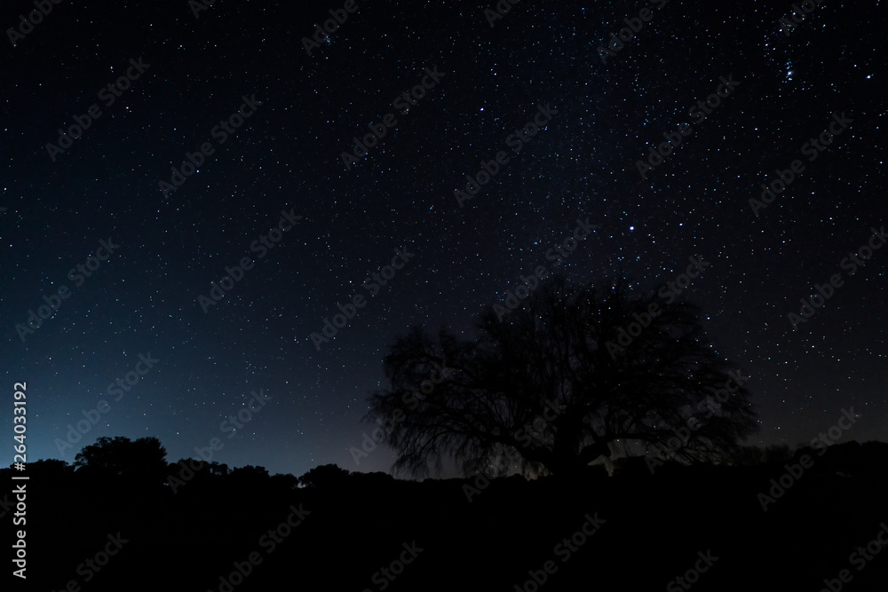Night landscape near Arroyo de la Luz. Extremadura. Spain. Night landscape near Arroyo de la Luz. Extremadura. Spain.