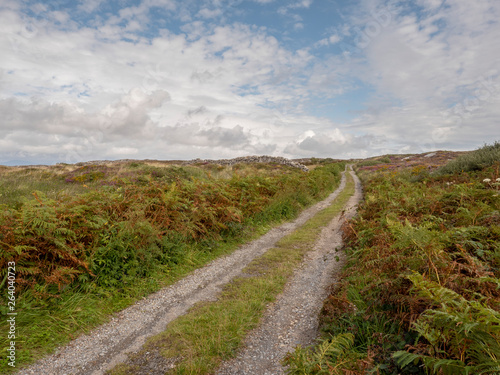 Small country road in Ireland, county Galway.