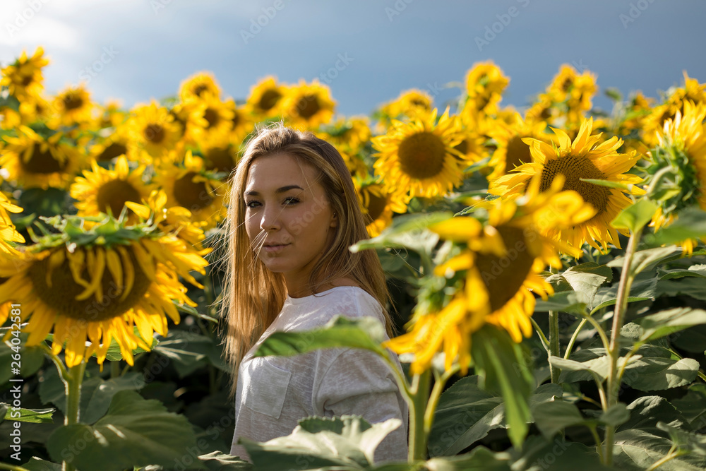 Lonely woman in a sunflower field in summer Lonely woman in a sunflower field in summer