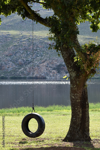 Tyre Rope Tree Swing By A Lake, Dullstroom, South Africa photo