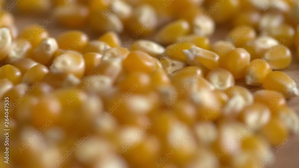 Macro close up pan over a bunch of popcorn kernels resting on a wood cutting board Macro close up pan over a bunch of popcorn kernels resting on a wood cutting board