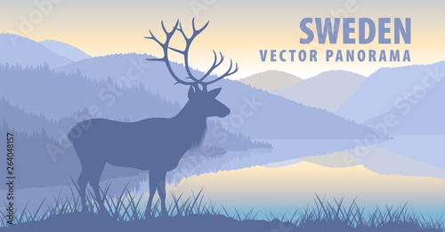 vector panorama of Sweden with  raindeer