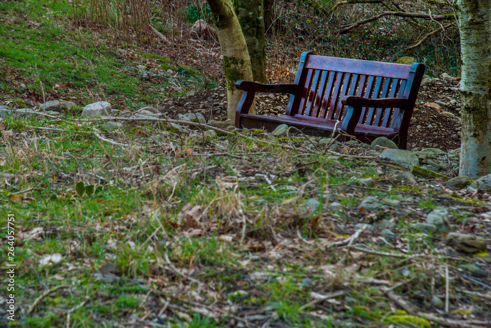 Wooden chair in the garden Wooden chair in the garden