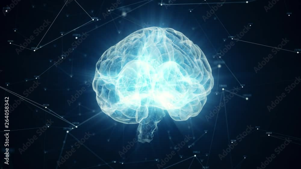 The human brain rotates formed of luminous particles. Plexus structure revolving around. Seamless loop 4k animation