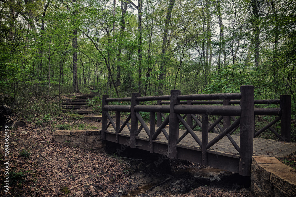 Wooden bridge in the forest