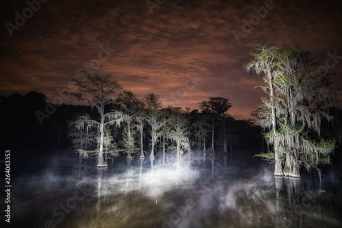 Foggy night at caddo lake with bald cypress trees